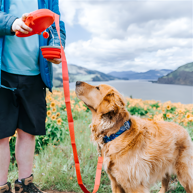 4-in-1 Dog Leash