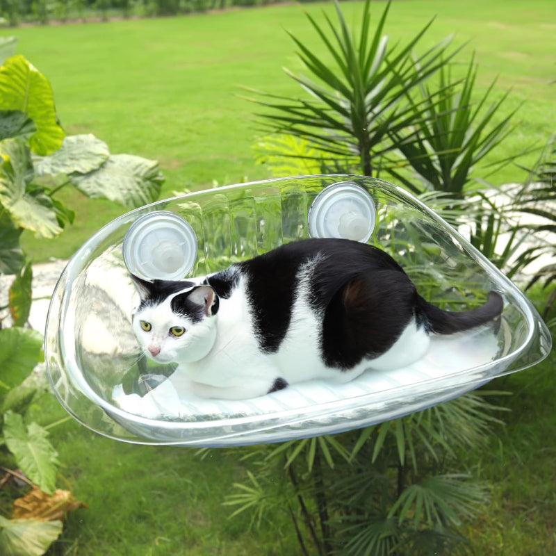 Cat Window Bed