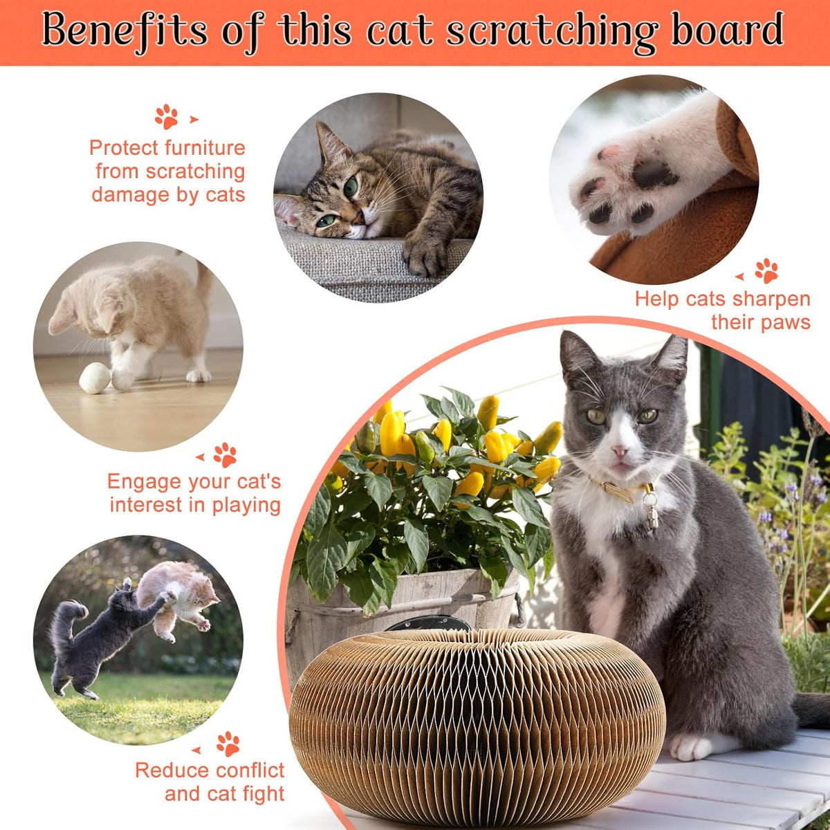 Cat Infinite Rotating Ball Scratcher