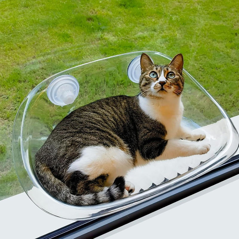 Cat Window Bed