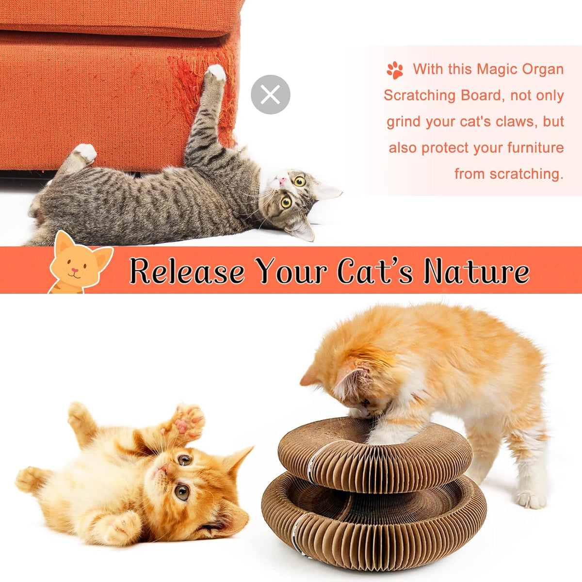 Cat Infinite Rotating Ball Scratcher