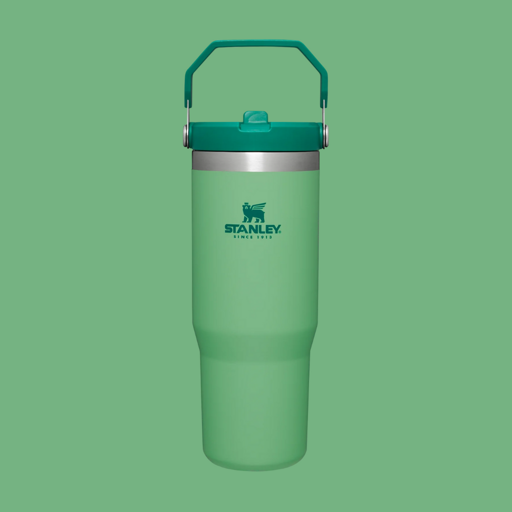 Stanley The IceFlow Flip Straw Tumbler | 30 OZ