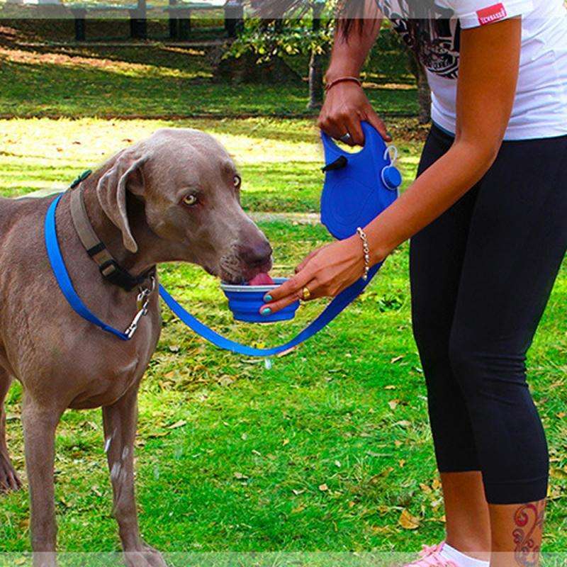4-in-1 Dog Leash