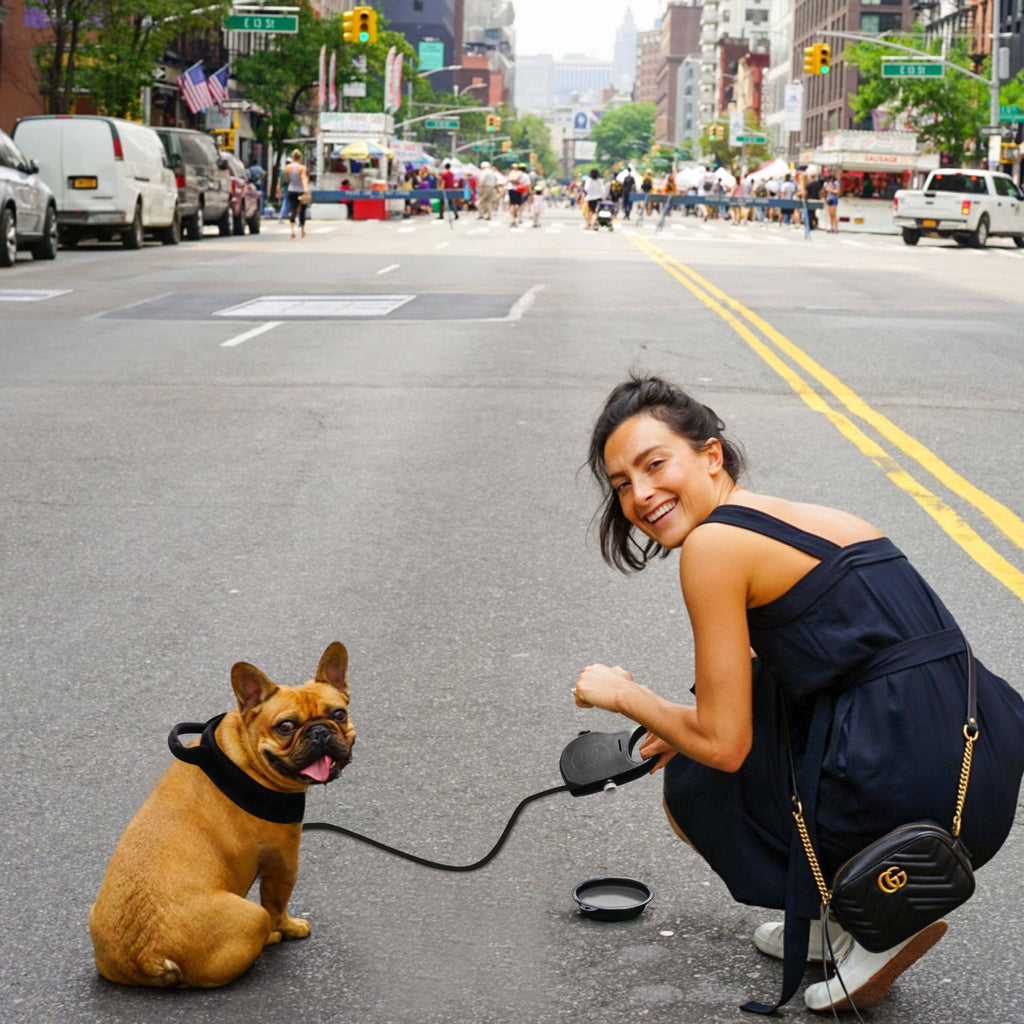 4-in-1 Dog Leash