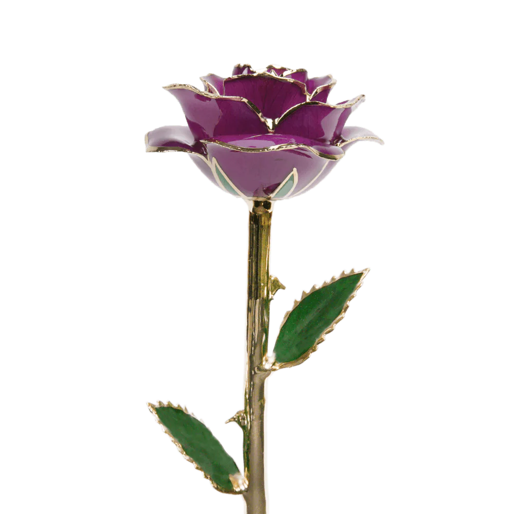 24k Gold Dipped Rose